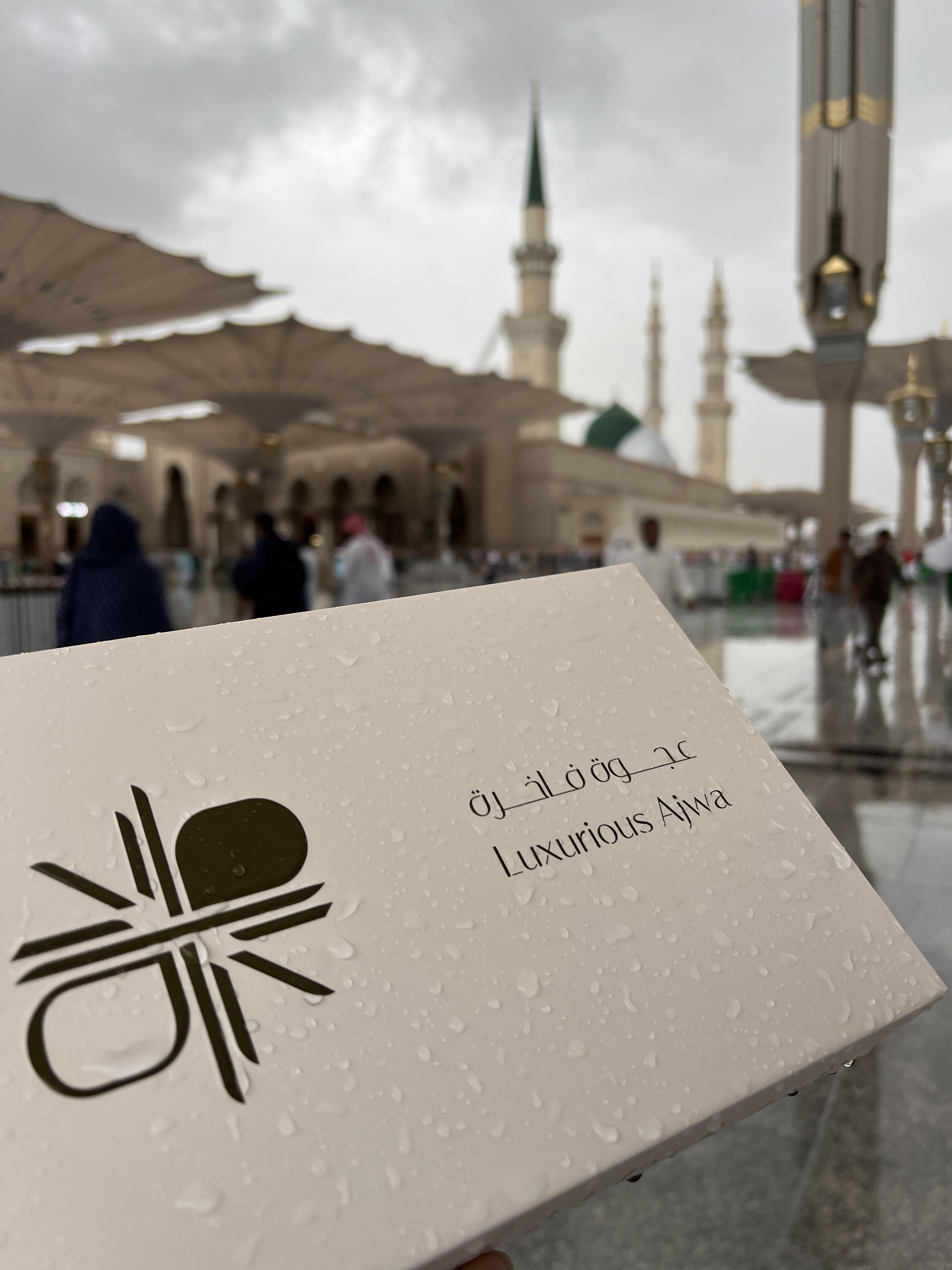 Ajwa Dates Premium Bowl